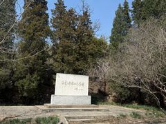 -白水寺森林公园