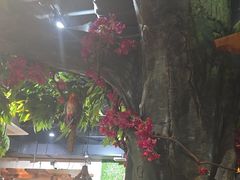 -草原塞蛮羊火锅城(港湾店)