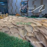商超探店|听说他家蚝🦪不错～备个年货？