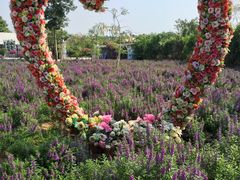 -广东花都香草世界旅游度假区