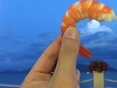 -越海渔村