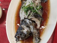 -金时代顺风大酒店(协泰店)