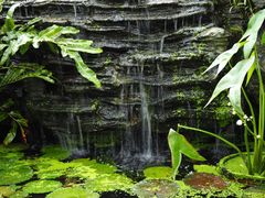 -国家植物园南园