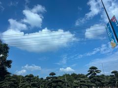 -黄河九曲第一湾