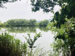 -长兴太湖图影湿地文化园