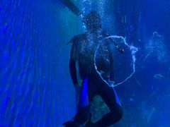 -成都浩海立方海洋公园