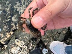 -银沙滩浴场