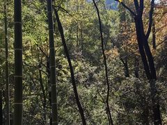 -石燕湖生态旅游景区