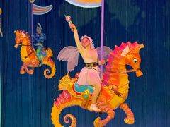 -海合安武汉极地海洋公园