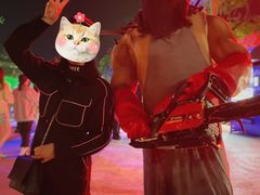 -合肥融创乐园