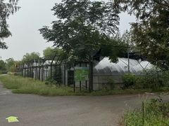 -前小桔亲子创意农场·草莓采摘·露营烧烤