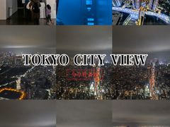 -六本木新城展望台(东京城市景观)