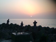 -南汇嘴观海公园