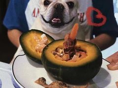 -萌宠之家·腊肠犬·马尔泰·小体犬舍
