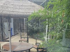 -蘑统田下·野生菌火锅