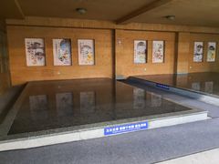 -南宫温泉水世界