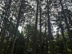 -奈良公园