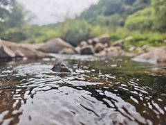 -大水川景区