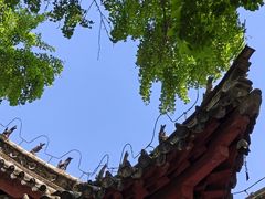 -南阳卧龙岗武侯祠