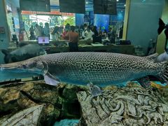-顺德南宏海立方海洋公园