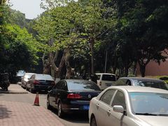 -四川大学(望江校区)