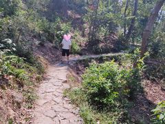 -青龙山国家森林公园