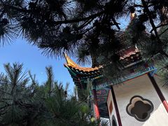 -戏马台景区