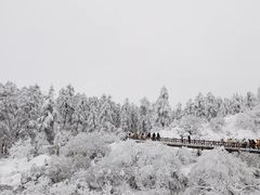-瓦屋山景区