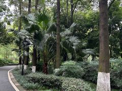 -塔子山公园