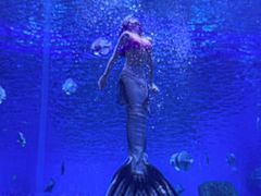 -石家庄极地海洋世界