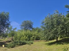 -白水寺森林公园
