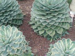 -南通洲际绿博园