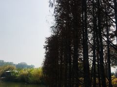 -中国移动南方基地