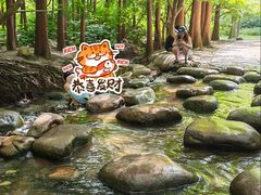 -共青国家森林公园-售票处