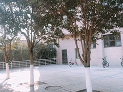 -陕西科技大学福慧图书馆