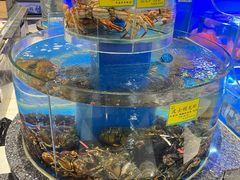-新海渔港·胶东海鲜家常菜·家宴(奥体中心店)