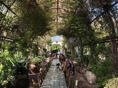 -The Grounds of Alexandria