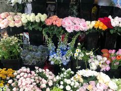 -ChaKo Flora ·茶子花艺 (市北店)