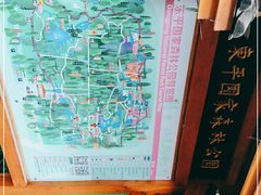 -东平国家森林公园
