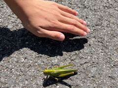 -南京市江宁方山