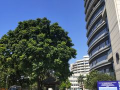 -广州中医药大学第一附属医院(总院)