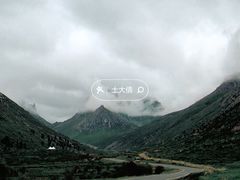 -莲宝叶则景区