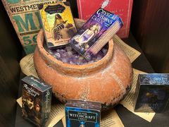 -雪灵魔法世界SHELLY’S TAROT(大良桂畔里店)