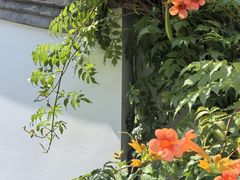 -北京湖广会馆