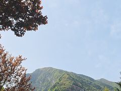 -少华山国家森林公园