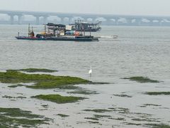 -北海金海湾红树林生态旅游区