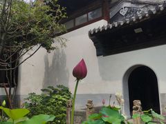 -秋霞圃