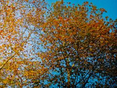 -杭州黄龙洞