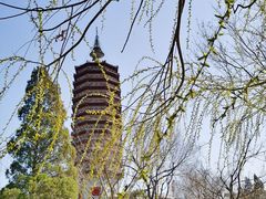 -西海子公园