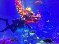 -沈阳海洋探索中心